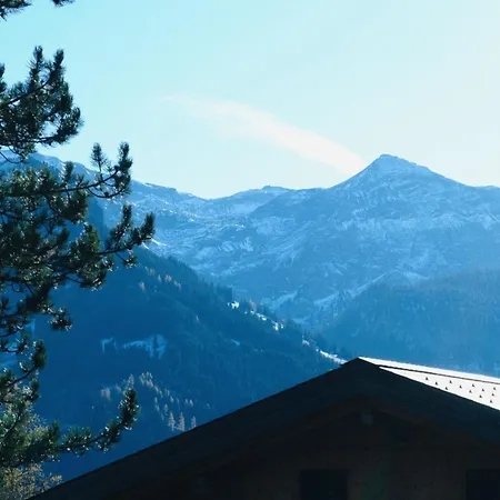 Bergdohle By Interhome Apartment