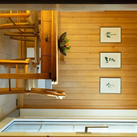 Bergdohle By Interhome Apartment
